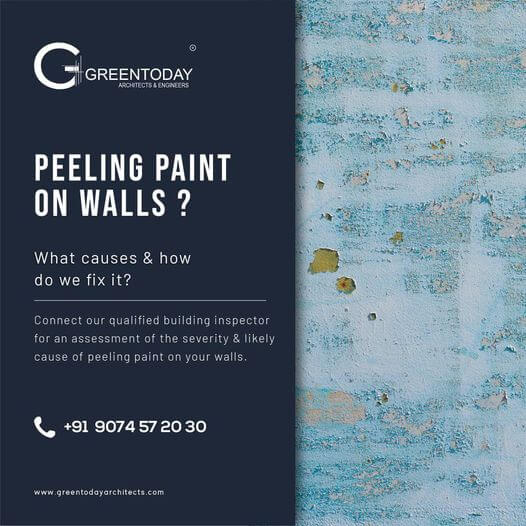 fix peeling paints on walls